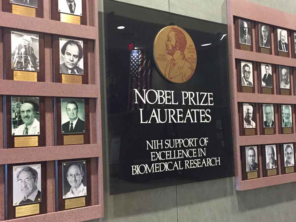 26 Louise Gluck Interesting Facts You Didn’t Know