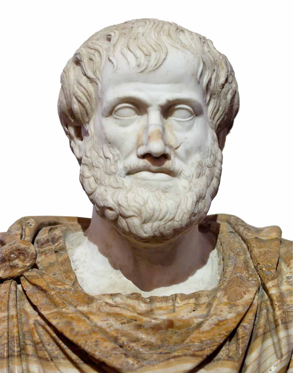 Aristotle born image