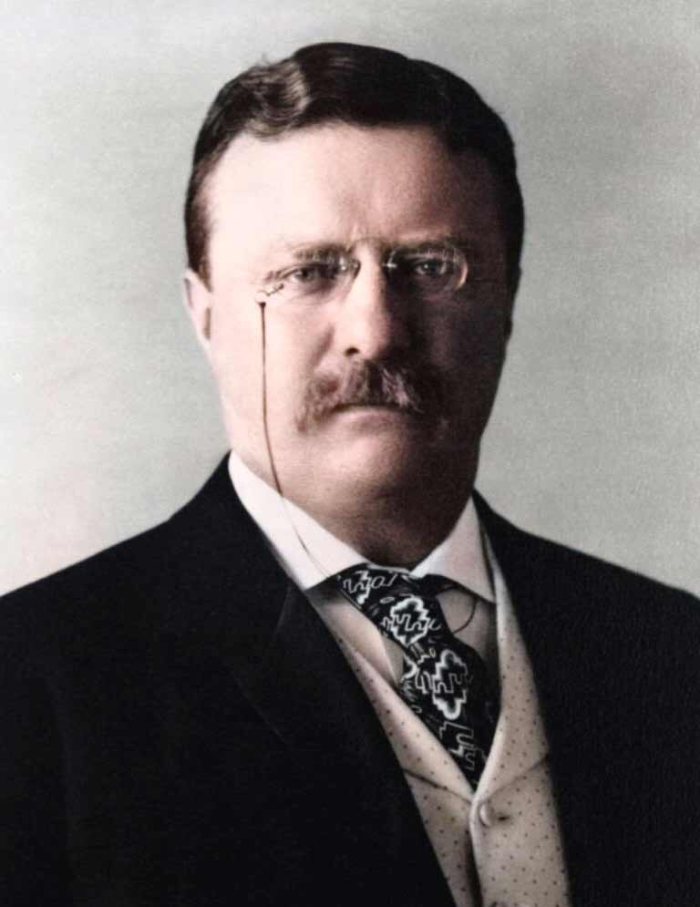 31 Theodore Roosevelt (26th US President) Interesting Facts