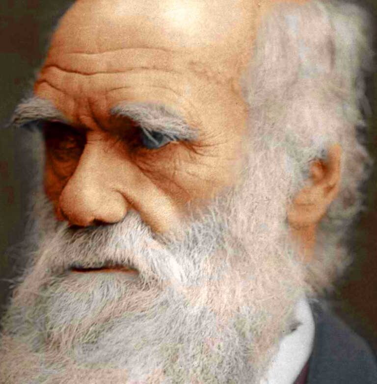 33 Interesting Bio Facts about Charles Darwin, Evolutionist